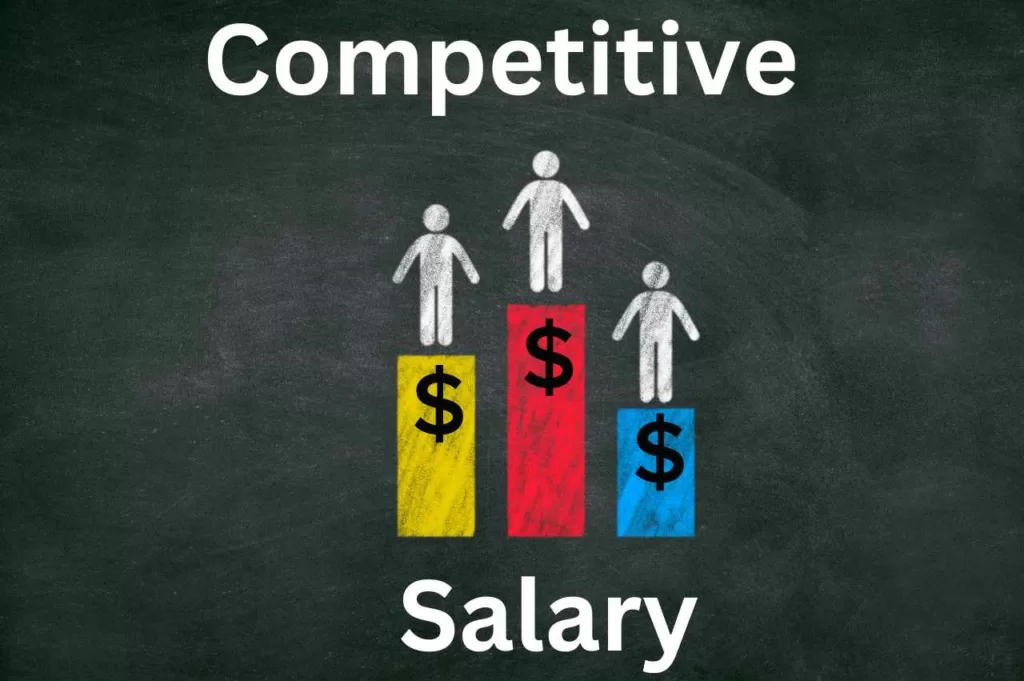 Hva betyr konkurransedyktig lønn (Se svaret)